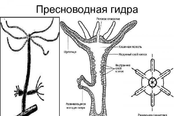 Kraken это