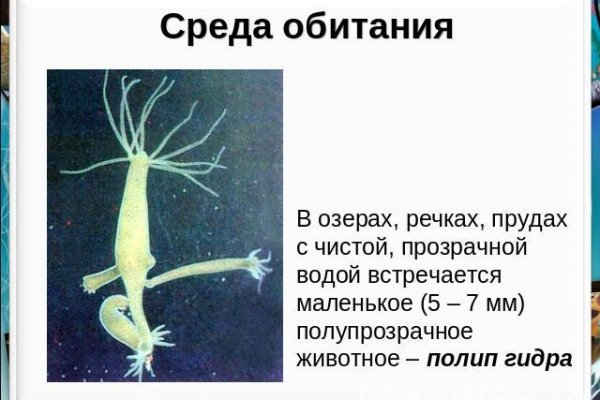 Кракен последние ссылки