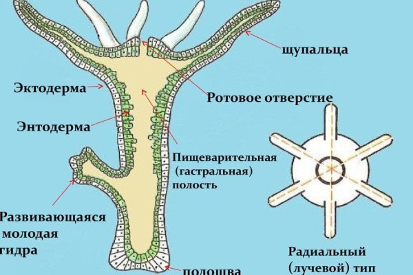 Кракен оф