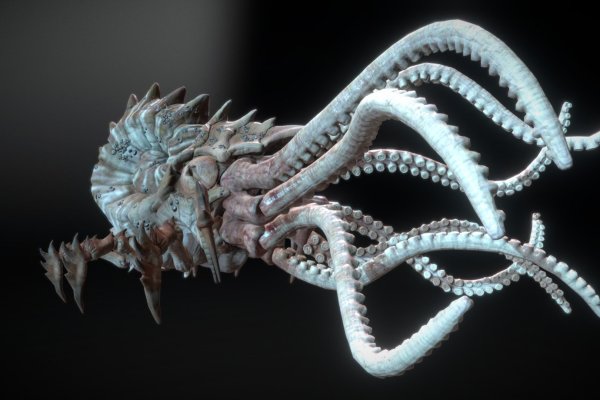 Kraken17 at сайт