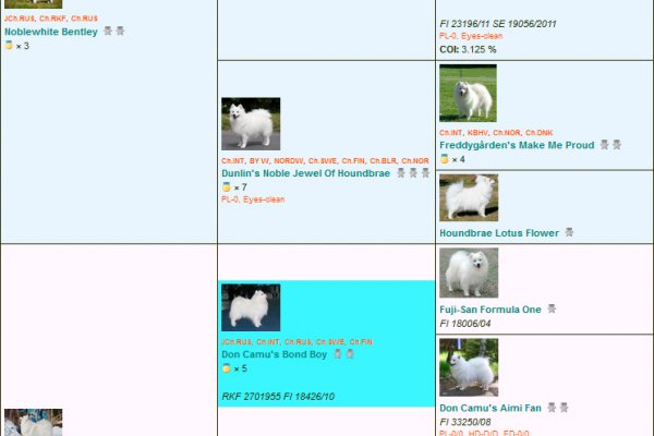 Krn 2at
