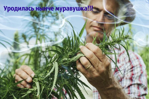 Кракен маркет только через тор скачать