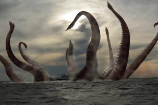 Kraken dark