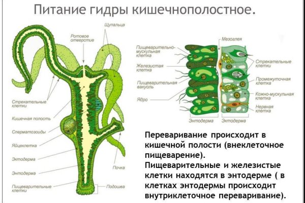 Kraken зайти на сайт