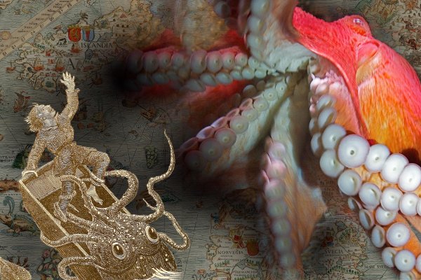 Кракен магазин krakens13 at