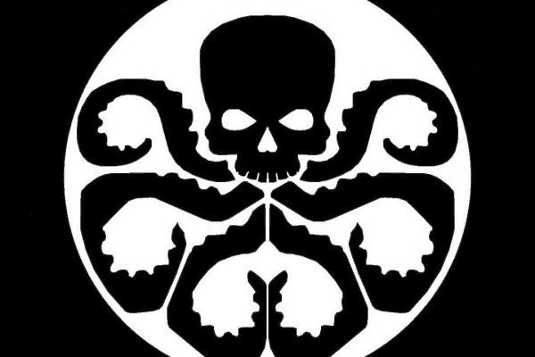 Kraken 17 at net