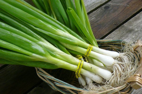 Где купить наркоты