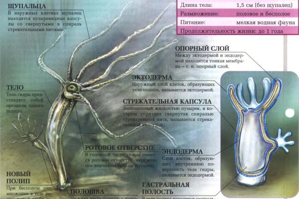 Ссылка на сайт гидра в тор браузере