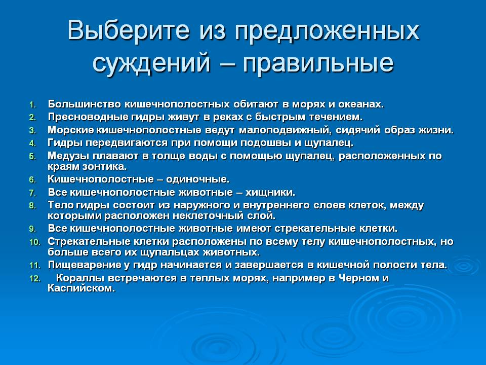 Kra48.cc Вход на сайт главная страница